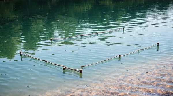 Top avantages des barrières flottantes pour une protection aquatique